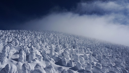 Snow-covered trees resembling monsters in Zao