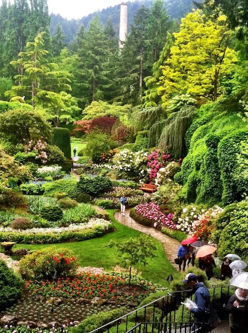 Butchart Gardens at night with lights