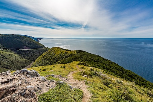 A moose standing on the side of the road in Cape Breton Highlands National Park
