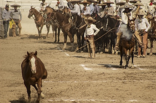 Charros lined up in full traditional attire at a Lienzo Charro
