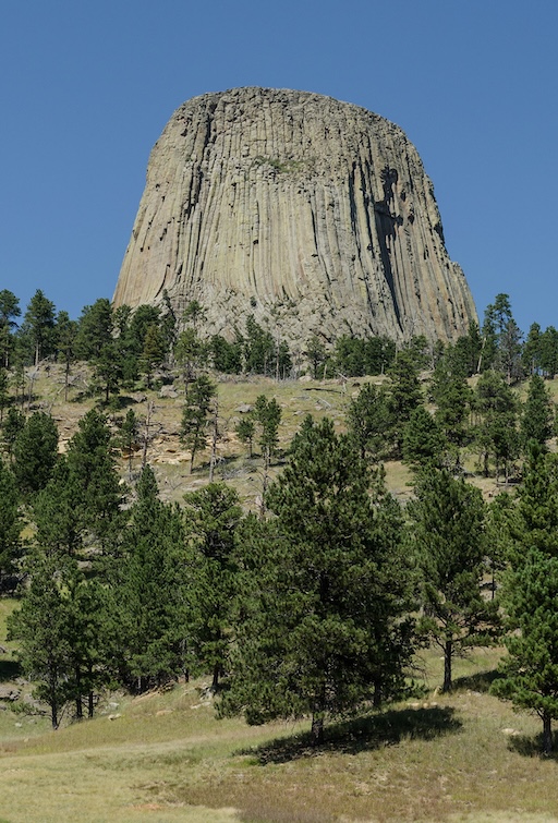 Close-up of columnar formations at Devils Tower