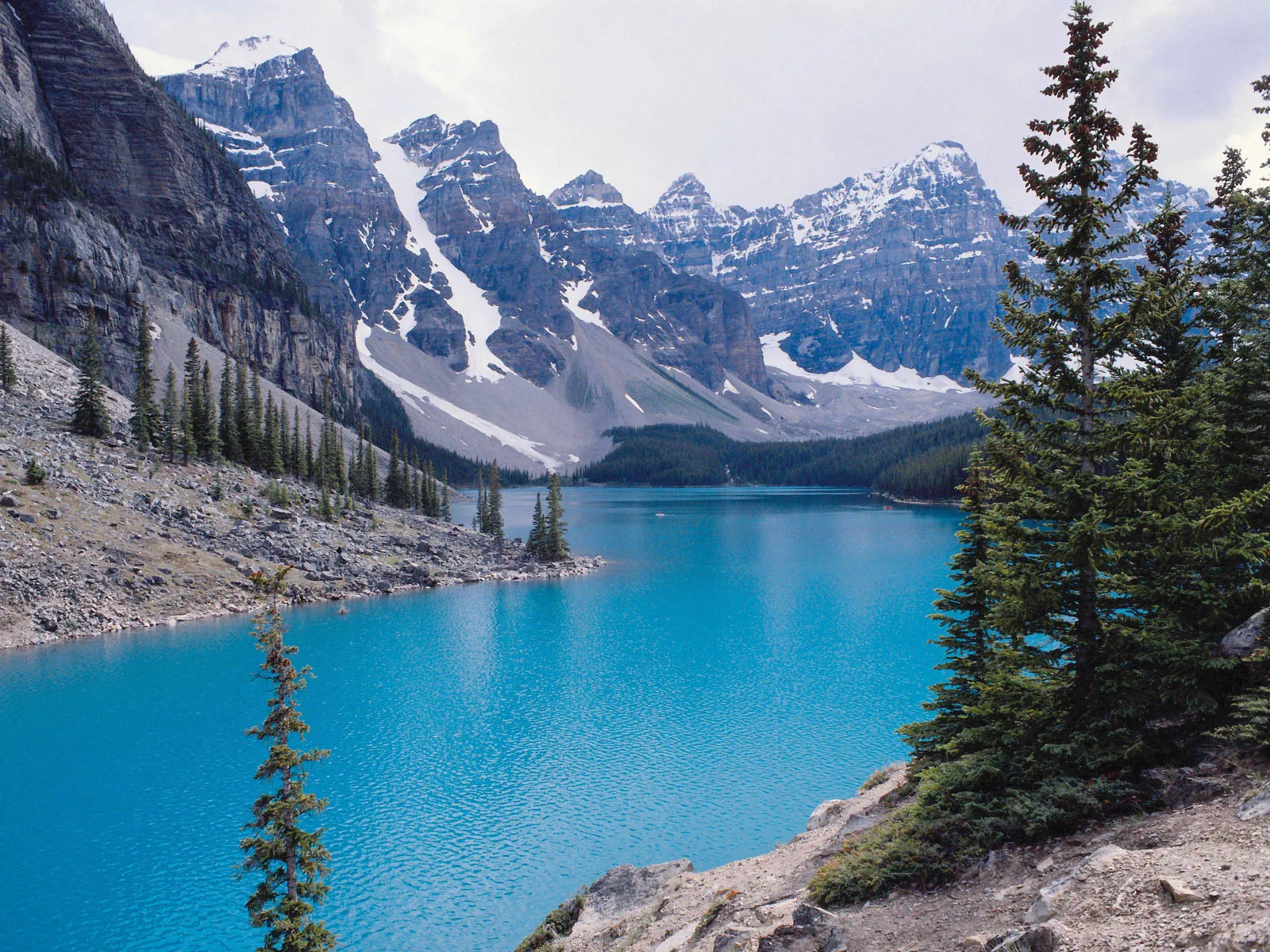 Panoramic view of Moraine Lake with surrounding pine trees and rocky peaks