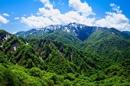 Shirakami-Sanchi Forest
