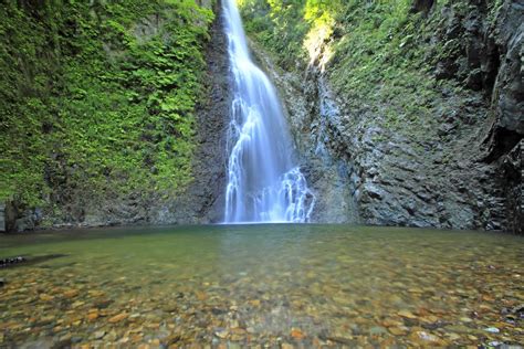 Misty trails in Shirakami-Sanchi