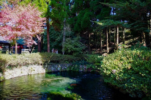 Shirakawa Suigen – Kumamoto