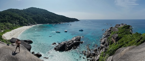 Colorful coral reef and tropical fish in Similan Islands underwater scene