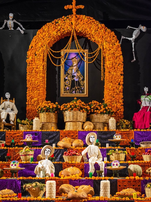 Catrina costume parade