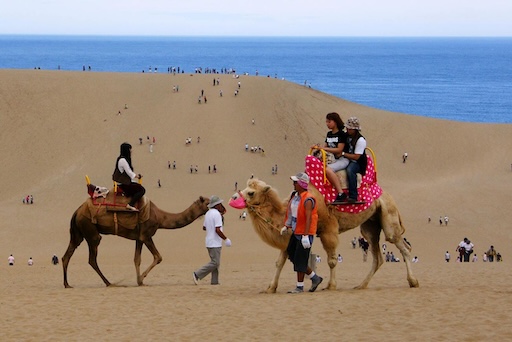 Camel ride on Tottori Sand Dunes