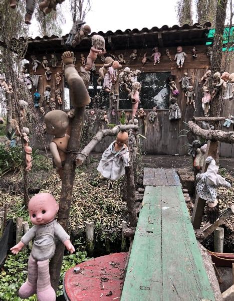 Dolls Hanging from Trees on the Island