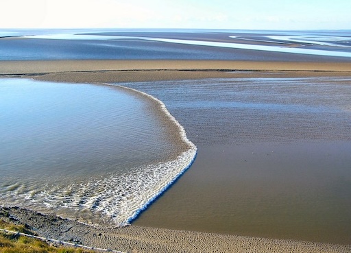 Tidal bore wave approaching a river in Yatsushiro