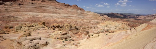 Close-up of The Wave’s striped sandstone textures
