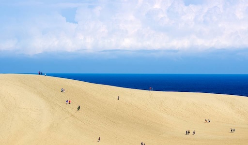 Winter view of Tottori Sand Dunes with snow