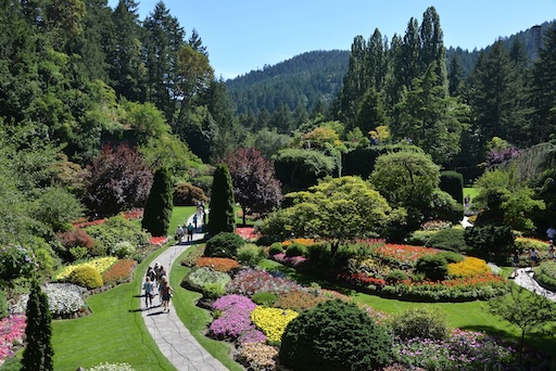 Butchart Gardens Sunken Garden in full bloom